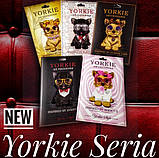 Ароматизатор в авто/гардероб парфумований Yorkie Style ADDICT II Dior, фото 3