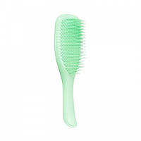 Расческа Tangle Teezer The Wet Detangler Mint Karma