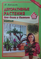 Декоративні рослини для дому та балкона.Бонсаї. Новоселова Т.
