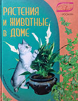 Рослини та тварини в домі. Фоміна Ю.