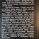 Дар того,хто народжений літати Річард Бах, фото 3