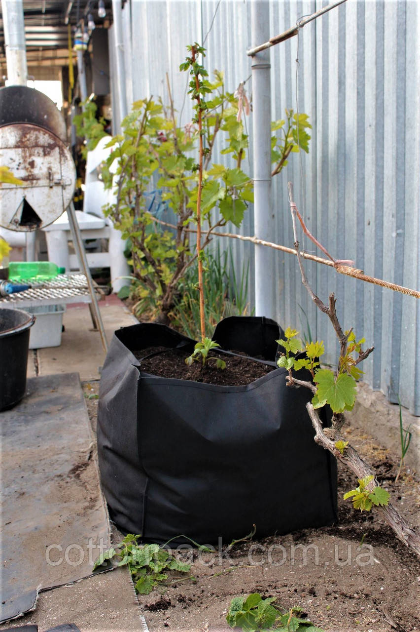 Контейнер для рослин, 80 літрів, фото 1