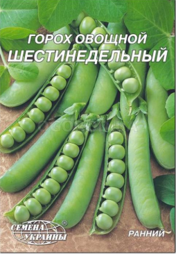 Насіння гороху Шеститижневий 20 г, Насіння України, фото 2