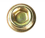 Заглушка блока двигуна MB Sprinter (M35x1.5) Solgy 112002, фото 3