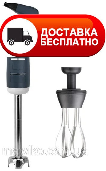 Міксер ручний заглибний GoodFood BL160VW Combi
