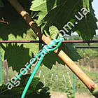 Дріт плоский для підв'язки рослин з обрізним механізмом 25 м GR5010, фото 2