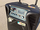 Акумуляторна колонка з мікрофонами Temeisheng/Lighting SL-1502 / 400 W (USB/Bluetooth/Пульт ДК), фото 5