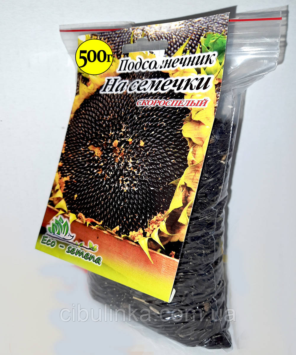 Насіння Соняшнику на Насіння (великий) 500 г, фото 1