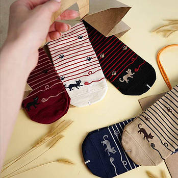 Шкарпетки жіночі смугасті коти