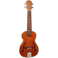 Укулеле концертне зі звукознімачем FZONE FZU-31EQ Concert