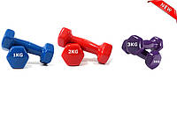 Гантели для фитнеса с виниловым покрытием 2 шт по 1 кг каждая. цвет фиолетовый