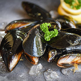 Мідія Чилі в мушлі 40*60 1 кг