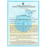 Антисептик для рук Фасепт 250 мл, фото 2