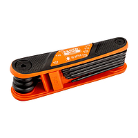 Набір оксидованих шестигранників під гвинти TORX — Bahco BE-8975B