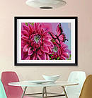 Алмазна вишивка метелик у кольорах, повна викладка, 20х30 см, фото 5