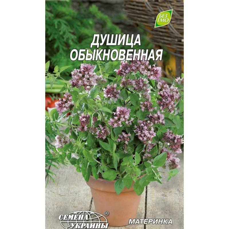 Насіння материнки звичайне 0,1 г, Насіння України