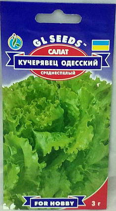 Насіння салату " Одеський кучерявец 3 м, GL SEEDS, фото 2
