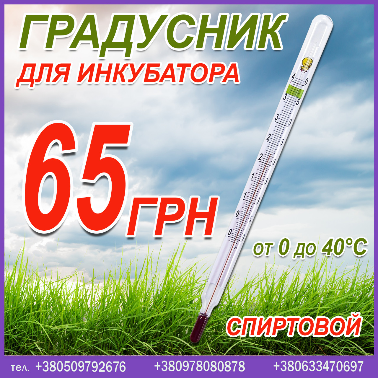 Градусник спиртовой для инкубаторов, цена: продажа, цена в Днепре ...