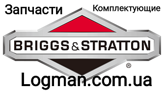 Запчастини для двигуна Briggs and Stratton. Оригінальні запчастини та комплектуючі на двигун