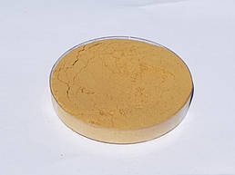 Протеаза фермент