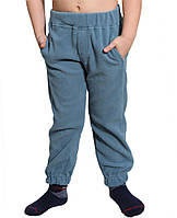 Флисовые штаны для мальчика (на рост 116-158 в расцветках) 122, голубой