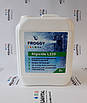 Froggy «Algicide L220», Альгіцид проти водоростей (каністра 5 л), фото 3