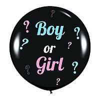 Латексна кулька пастель Чорний 31"/14 GEMAR + написи на визначення статі дитини Boy or Girl з оракалу ТМ Star"