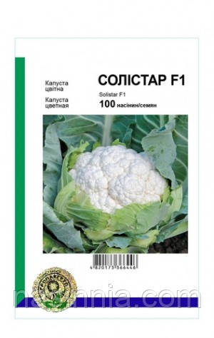 Капуста кольорова Солістар F1 100 насіння