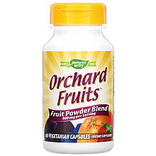 Комплекс фруктів для бадьорості Nature's Way "Orchard Fruits Fruit Powder Blend" 900 мг (60 капсул)
