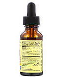 Краплі для дітей ChildLife ехінацея з натуральним апельсиновим смаком 30 мл, фото 2