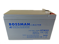 Аккумулятор для детских электромобилей Bossman-Profi 6FM9G