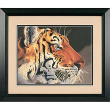 Набір для малювання фарбами за номерами "Королівський тигр//Regal Tiger" DIMENSIONS
