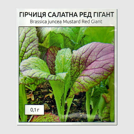 Насіння горцицы салатною Ред гігант 1 г, Seedera, фото 2