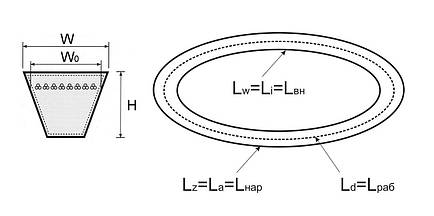 Ремінь приводний C-3550 (C/E-3550) Stomil Sanok Серія E, фото 2