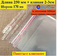 Пакет полипропиленовый 250х170 мм с клапаном и липкой лентой