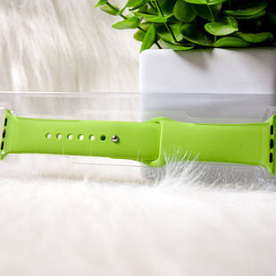 Ремінець Sport для Apple Watch 38mm/40mm green 31