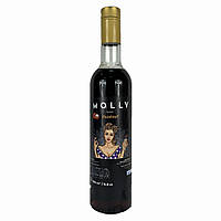 Сироп MOLLY Фундук 700 мл