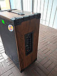 Портативна колонка Temeisheng A 12-42 з радіомікрофонами / 180 W (USB/Bluetooth/), фото 6