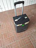 Портативна колонка QX 0862 з радіомікрофоном/100W (USB/Bluetooth/Пульт)), фото 4