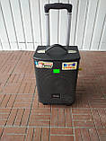 Портативна колонка QX 0862 з радіомікрофоном/100W (USB/Bluetooth/Пульт)), фото 5