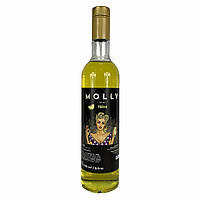 Сироп MOLLY Дыня 700 мл