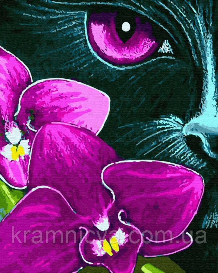 Картина за номерами 40х50 Фіалковий кіт (GX31620)