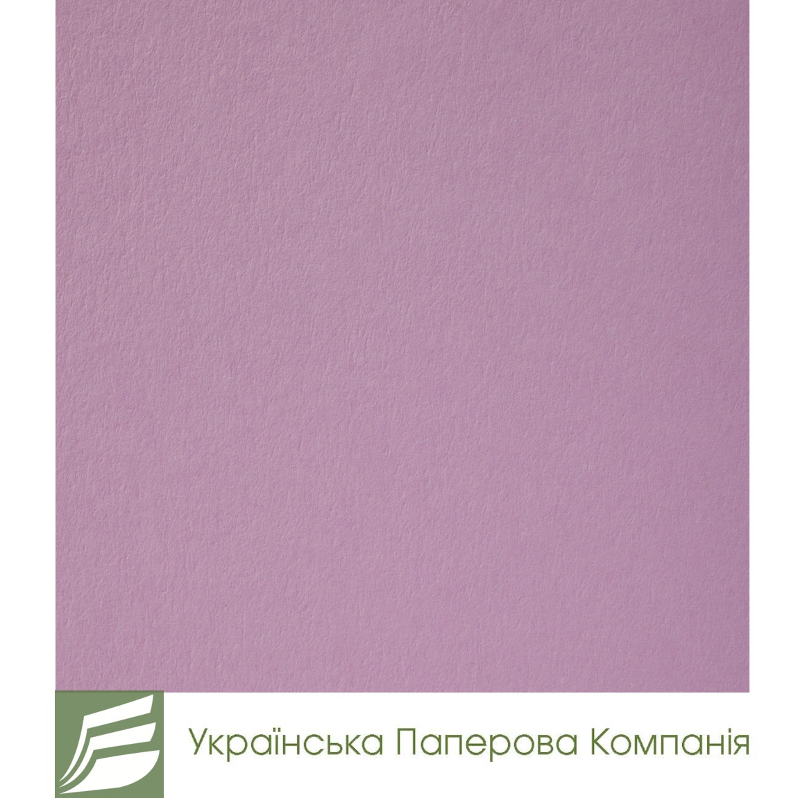 Дизайнерський картон Creative board, матовий бузковий, 120 гр/м2, фото 1