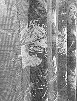 Тюль готова "Парадайс" Графіт, фото 5