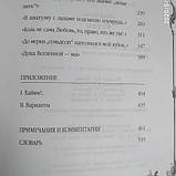 Омар Хайям Рубаї Повне зібрання пер. Голубєва, фото 6