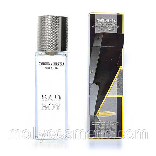 Чоловічий тестер люкс Carolina Herrera Bad Boy, фото 1