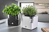 Вазон із системою автополивання Cobble 14x14x14 cm антрацит 79000, фото 6