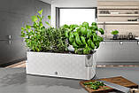 Вазон із системою автополивання Cobble Trio 40x14x14 cm світло-зелений 79008, фото 7