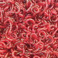 Великий насадковий мотиль, 100г