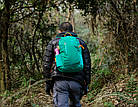 Наплічник Naturehike Daily Casual 30 NH16B030-D Зелений, фото 5